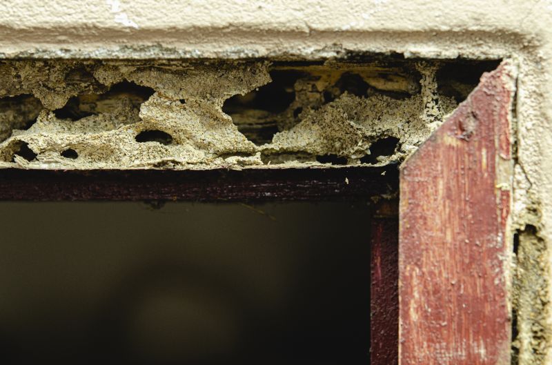 Damaged Wood Replacement