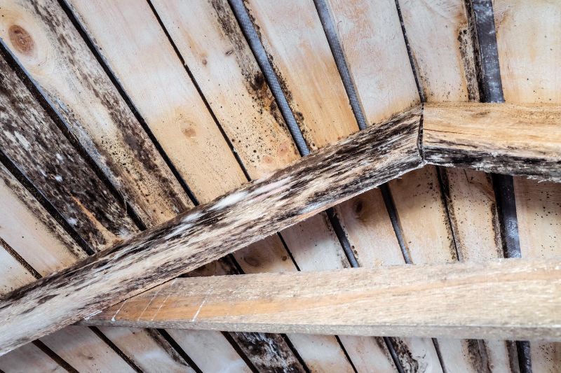 Deck Joist Rot Repair