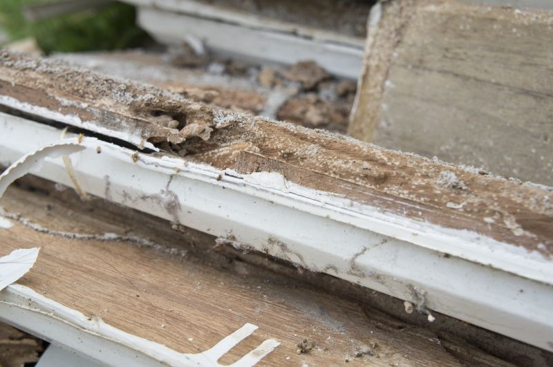 Damaged Wood Replacement
