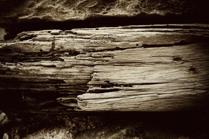 Deck Beam Rot Repair