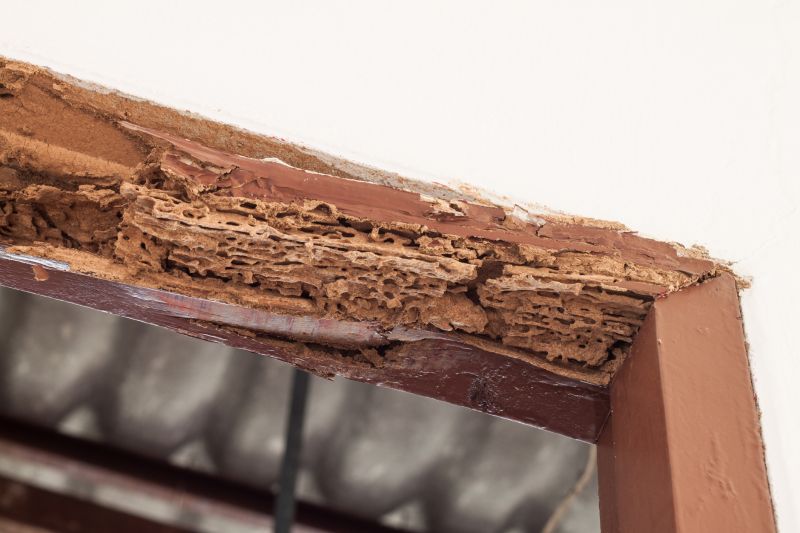 Dry Rot Door Repair