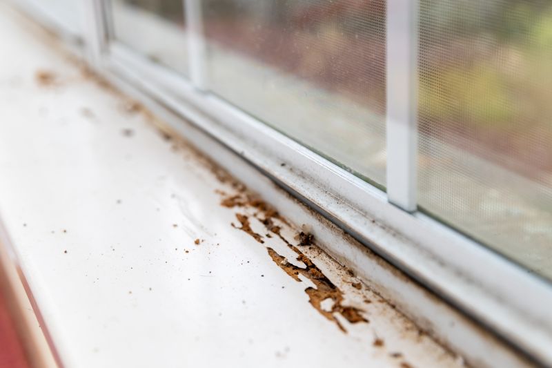 Dry Rot Door Repair