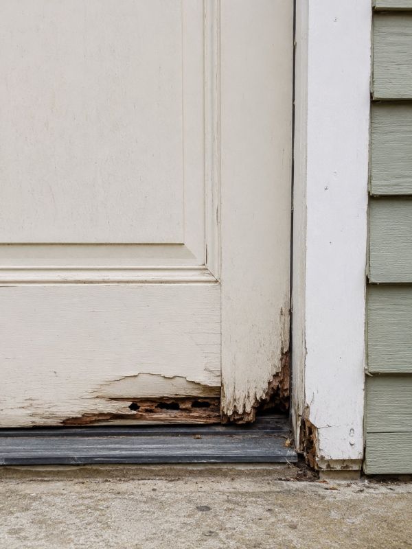 Dry Rot Door Repair