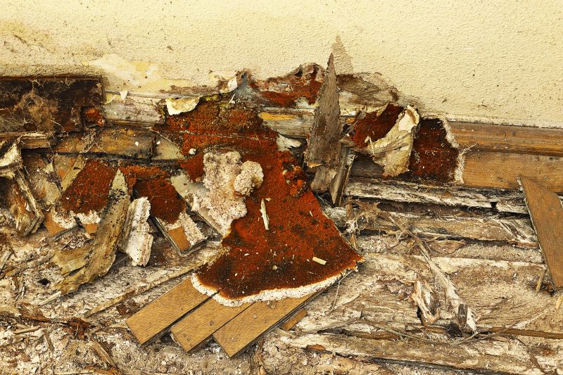 Dry Rot Floor Repair