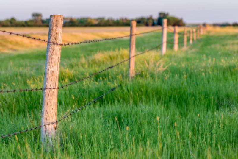 Fencing Installation
