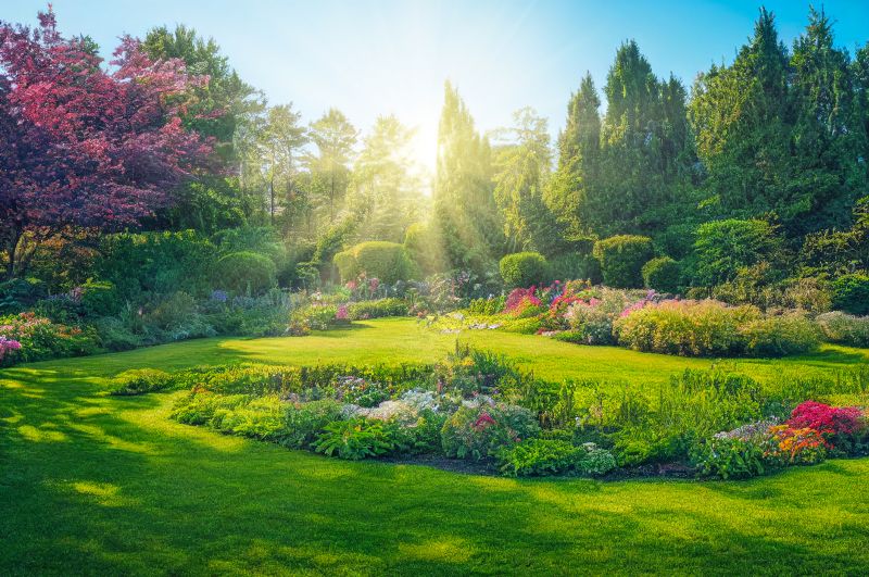 Landscaping
