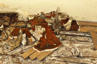 Laundry Room Dry Rot Repair