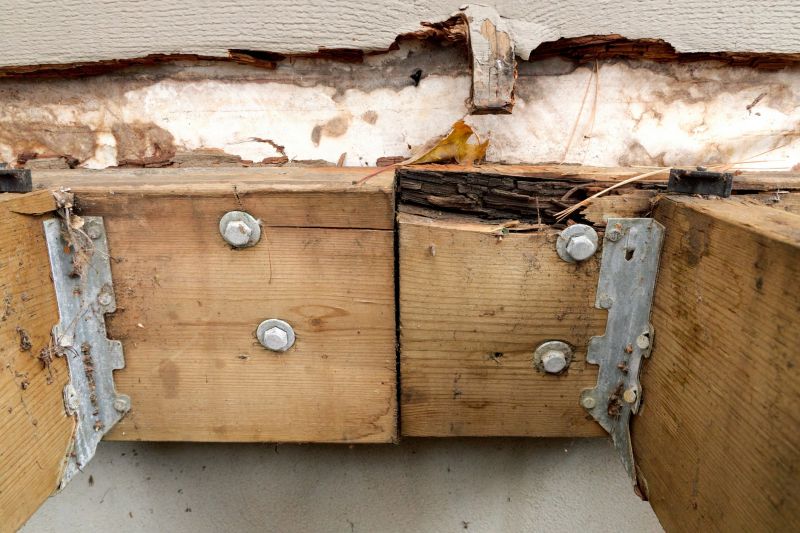 Residential Dry Rot Repair