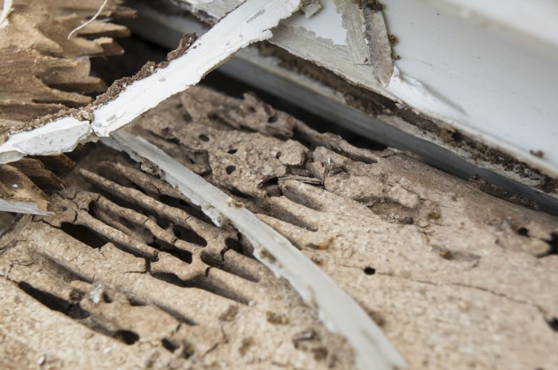 Residential Dry Rot Repair
