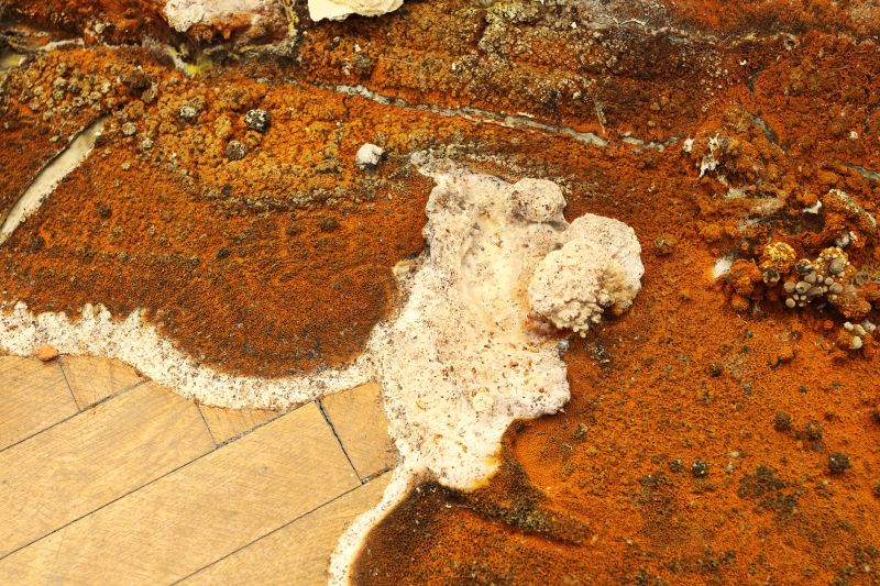 Rotted Floor Repair