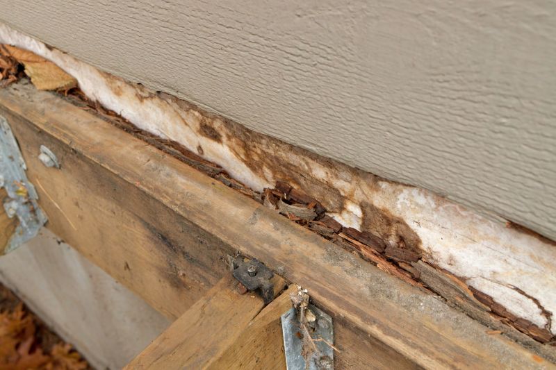 Rotted Wood Siding Repair