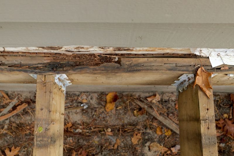 Structural Dry Rot Repair