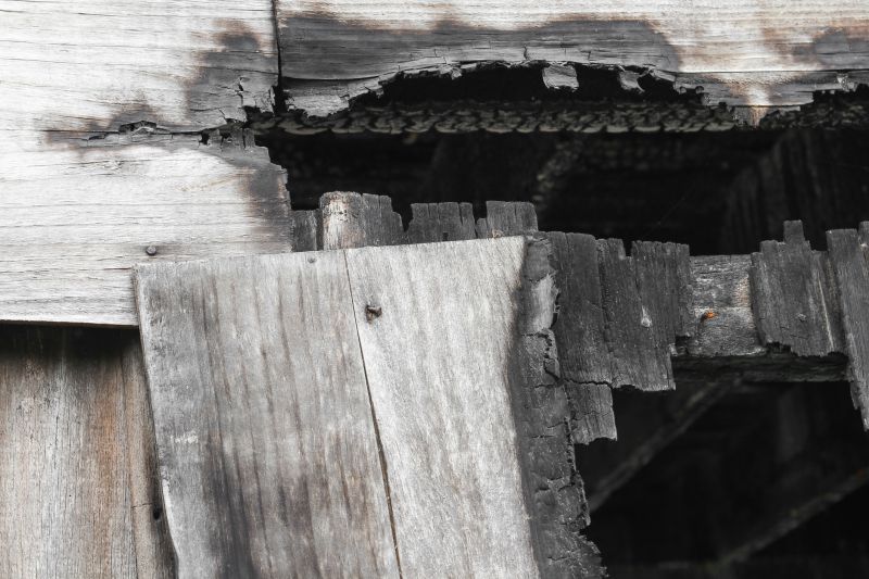 Structural Wood Restoration