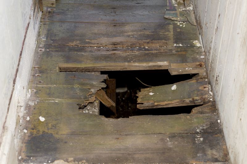 Subfloor Dry Rot Repair