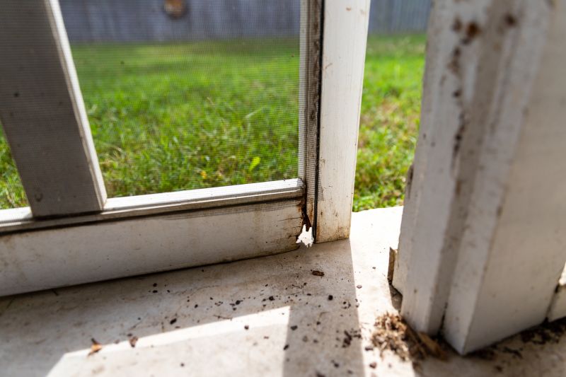 Window Dry Rot Repair