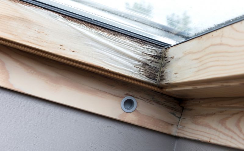 Window Dry Rot Repair